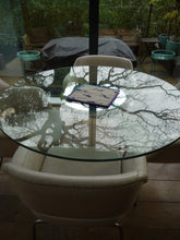 Load image into Gallery viewer, Shark Print Trivet with Multi Colour Trim