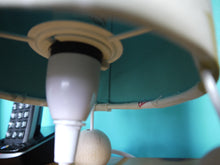 Load image into Gallery viewer, Double Sided Llama Table lamp